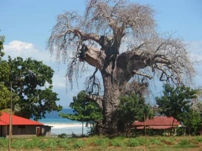 Kizimkazi