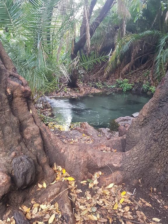 Kikuletwa (Chemka) Hot Springs