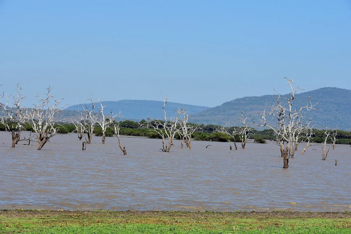 Selous Game Reserve