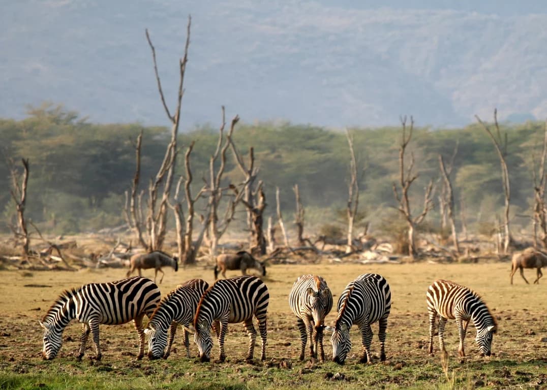 Lake Manyara